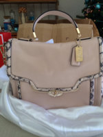 ImageUploadedByPurseForum1388837880.123760.jpg