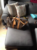 ImageUploadedByPurseForum1388856629.149703.jpg