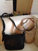 ImageUploadedByPurseForum1388940037.044272.jpg