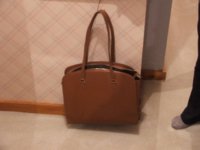 Coach Madison Arcadia_Tan (Small).jpg