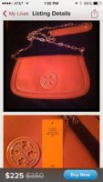 ImageUploadedByPurseForum1389031567.441020.jpg