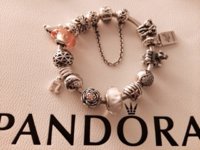 ImageUploadedByPurseForum1389227960.196792.jpg