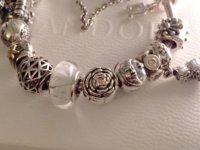 ImageUploadedByPurseForum1389312337.401890.jpg
