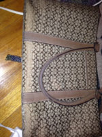ImageUploadedByPurseForum1389503990.852642.jpg