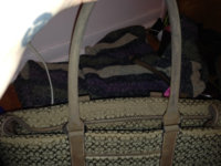 ImageUploadedByPurseForum1389504084.277987.jpg