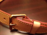 ImageUploadedByPurseForum1389766372.588763.jpg
