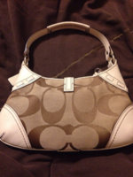 ImageUploadedByPurseForum1389922989.137516.jpg