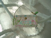 DSCF0034.JPG