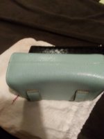ImageUploadedByPurseForum1391059020.108282.jpg