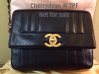 ImageUploadedByPurseForum1391078326.917659.jpg