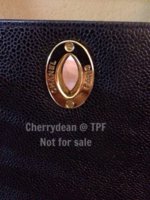ImageUploadedByPurseForum1391079124.367176.jpg