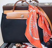 Hermes-HerBag-WorkingGirlPress.jpg