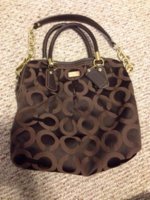 ImageUploadedByPurseForum1391486372.664279.jpg