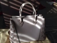 ImageUploadedByPurseForum1391561444.595073.jpg