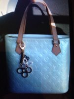 ImageUploadedByPurseForum1391968395.199117.jpg