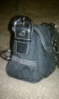 purse2.jpg