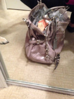 ImageUploadedByPurseForum1392249611.308844.jpg