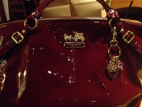 ImageUploadedByPurseForum1392344833.938603.jpg