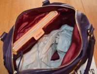 MZ Wallace Jane interior satin lining view.jpg