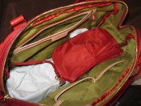 MZ Wallace Alice in Persimmon with pistachio lining.jpg