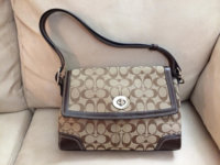 ImageUploadedByPurseForum1392689799.675980.jpg