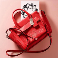 ImageUploadedByPurseForum1392965105.257232.jpg