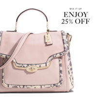 ImageUploadedByPurseForum1392965178.234683.jpg