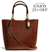 ImageUploadedByPurseForum1393079883.152459.jpg
