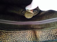 mulberry2.jpg