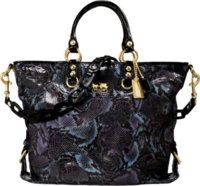 ImageUploadedByPurseForum1393645170.442917.jpg