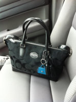 ImageUploadedByPurseForum1394028380.892501.jpg