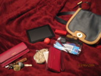 pat bag 005.JPG