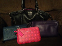 ImageUploadedByPurseForum1394166603.375929.jpg