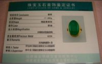 20091121141118.JPG