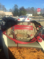 ImageUploadedByPurseForum1394315786.692728.jpg