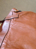 ImageUploadedByPurseForum1394539958.515939.jpg