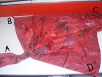 scarf with scarf ring paint.jpg