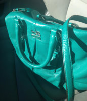 ImageUploadedByPurseForum1394731388.127518.jpg