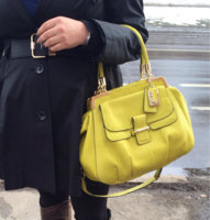ImageUploadedByPurseForum1394836136.385512.jpg