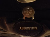 Mulberry inside.jpg