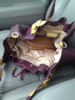 ImageUploadedByPurseForum1395512544.202614.jpg