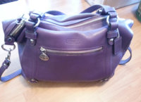 purple 1.jpg