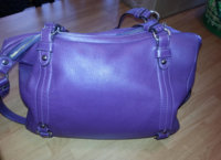 purple 2.jpg