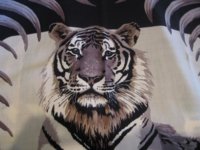 Royal Tiger UHG! 006 (Medium).jpg