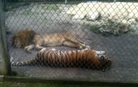 naptime1.jpg