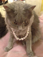 ImageUploadedByPurseForum1396053956.735154.jpg
