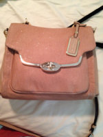 ImageUploadedByPurseForum1396538821.417672.jpg