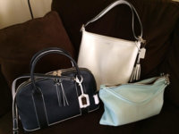 ImageUploadedByPurseForum1396639228.825939.jpg