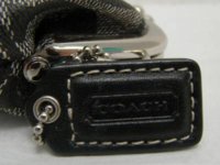 coach 6.jpg