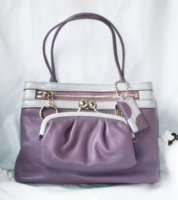 bonnie framed bag001.jpg